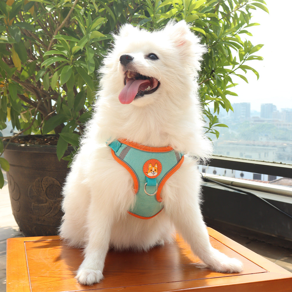 Dog Harness with Leash Set