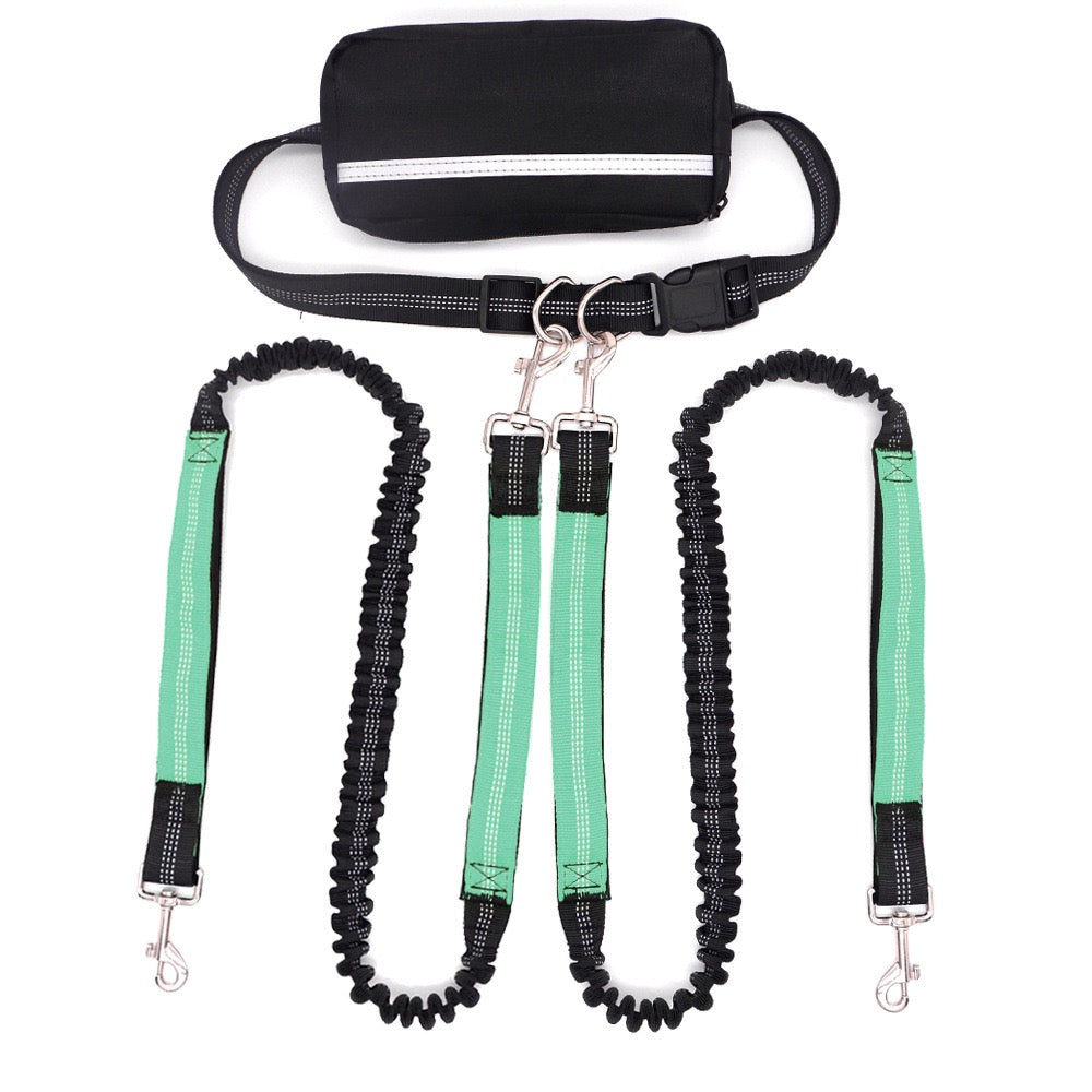 Double-Head Dog Leash for Pet Walking & Running