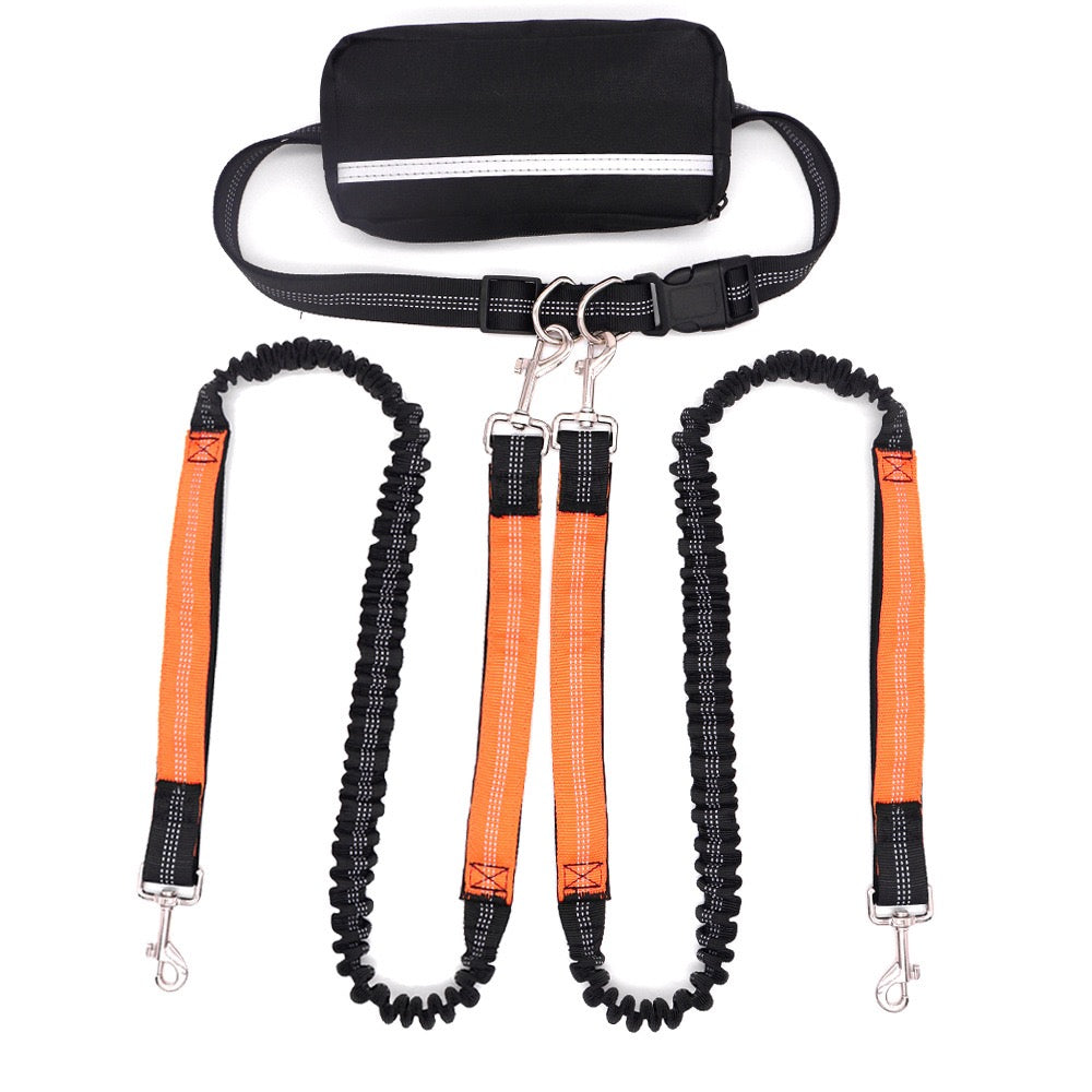 Double-Head Dog Leash for Pet Walking & Running