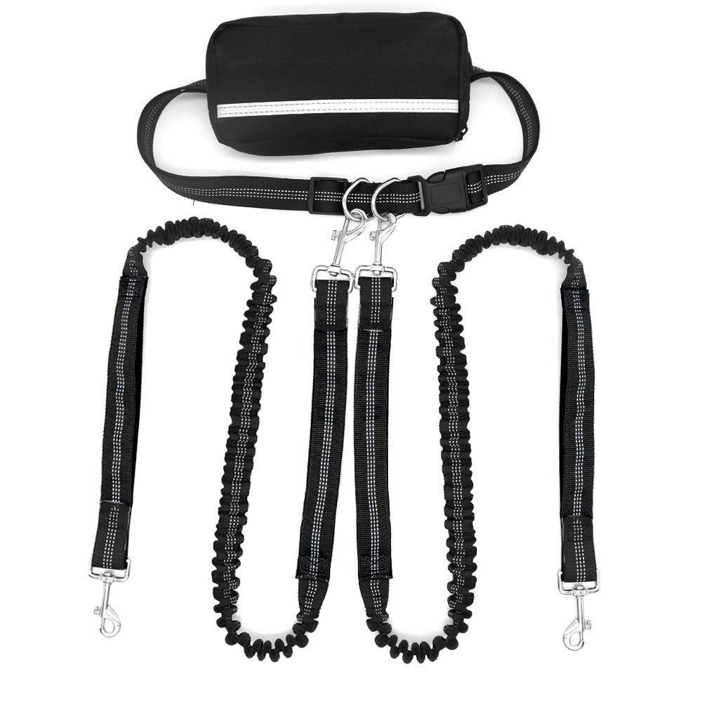 Double-Head Dog Leash for Pet Walking & Running