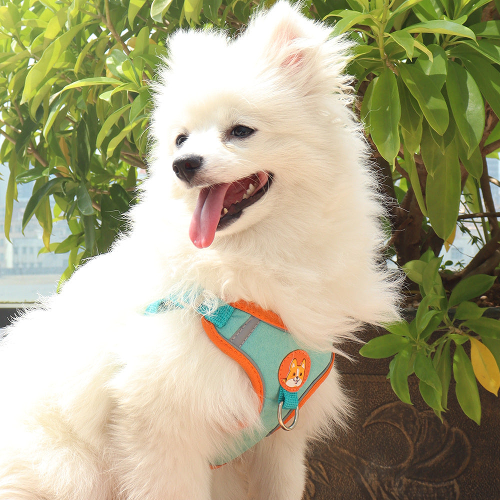 Dog Harness with Leash Set