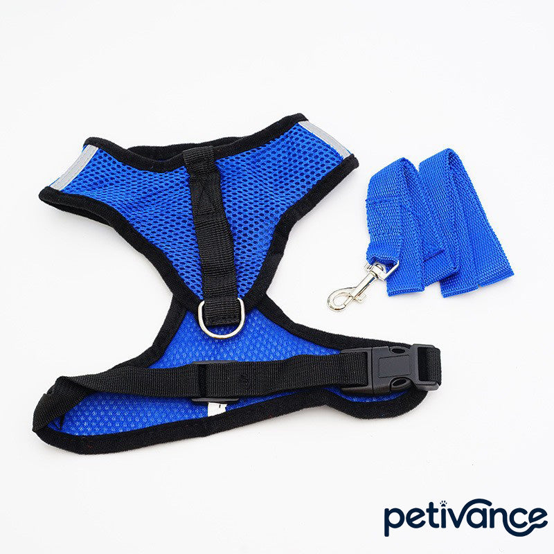 Small Dog Harness with Leash