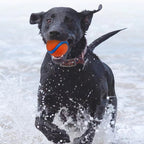 Durable High-Bounce Solid Dog Ball Toy