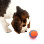 Durable High-Bounce Solid Dog Ball Toy