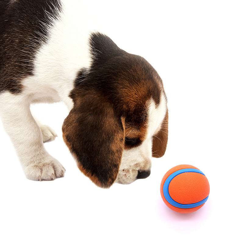 Durable High-Bounce Solid Dog Ball Toy