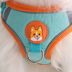 Dog Harness with Leash Set