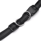 Double-Head Dog Leash for Pet Walking & Running