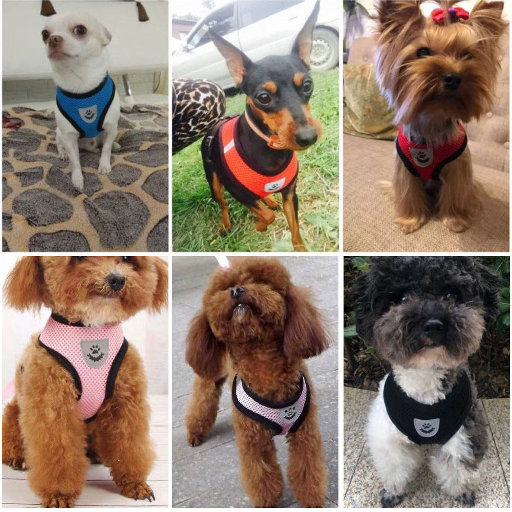 Small Dog Harness with Leash
