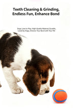 Durable High-Bounce Solid Dog Ball Toy