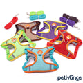 Dog Harness with Leash Set