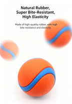 Durable High-Bounce Solid Dog Ball Toy