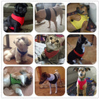 Escape-Proof Harness Leash  Breathable Pet Chest Vest