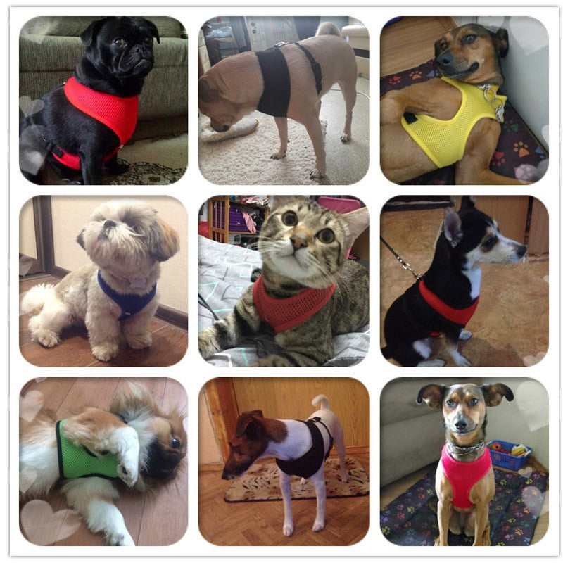 Escape-Proof Harness Leash  Breathable Pet Chest Vest