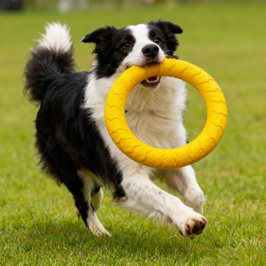 EVA Durable Dog Flying Disc Indestructible Chew Toy