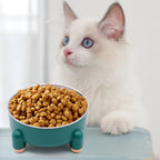Non-Slip Elevated Stainless Steel Pet Feeding  Bowl