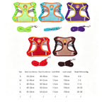 Dog Harness with Leash Set