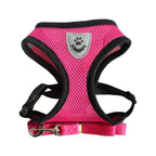 Small Dog Harness with Leash