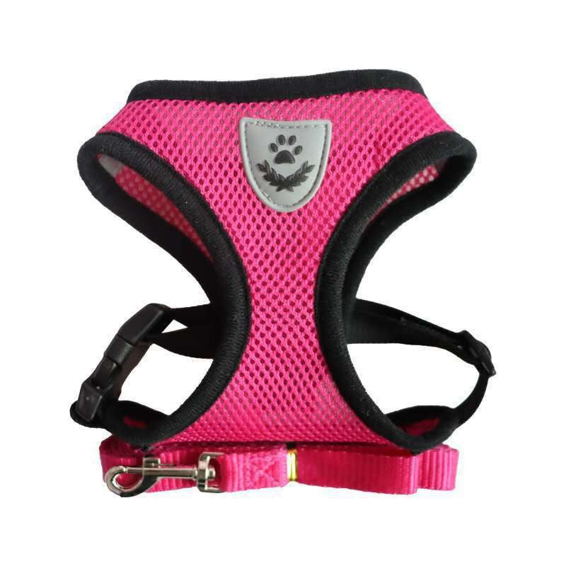 Small Dog Harness with Leash