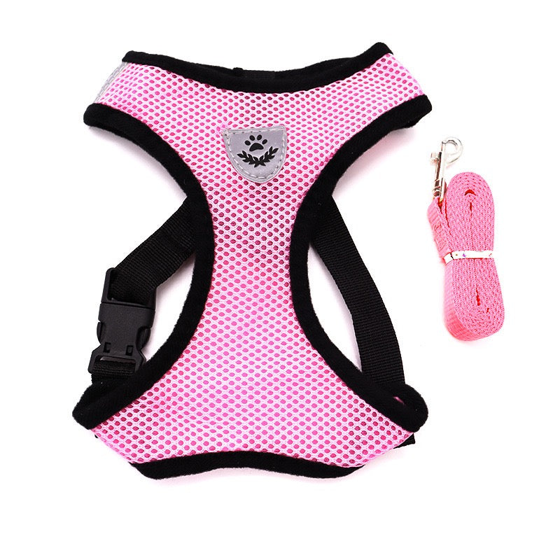 Small Dog Harness with Leash