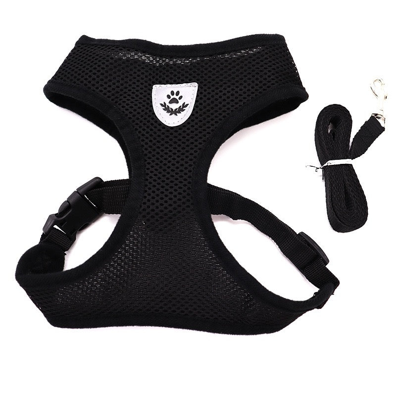 Small Dog Harness with Leash