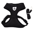 Small Dog Harness with Leash