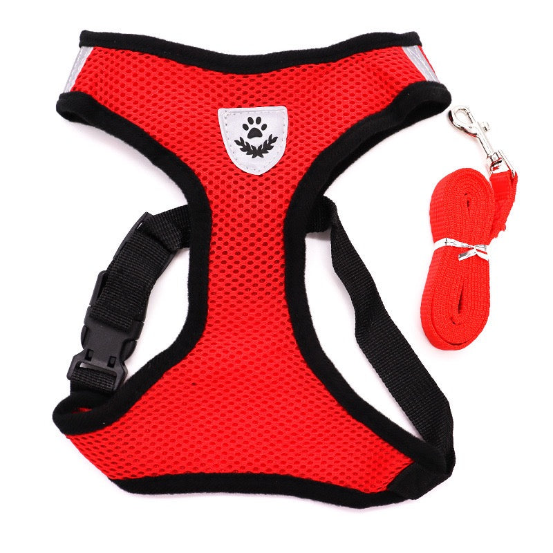 Small Dog Harness with Leash
