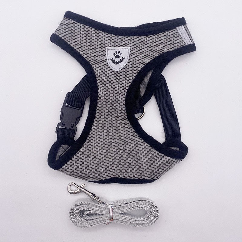 Small Dog Harness with Leash