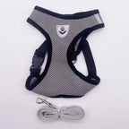 Small Dog Harness with Leash