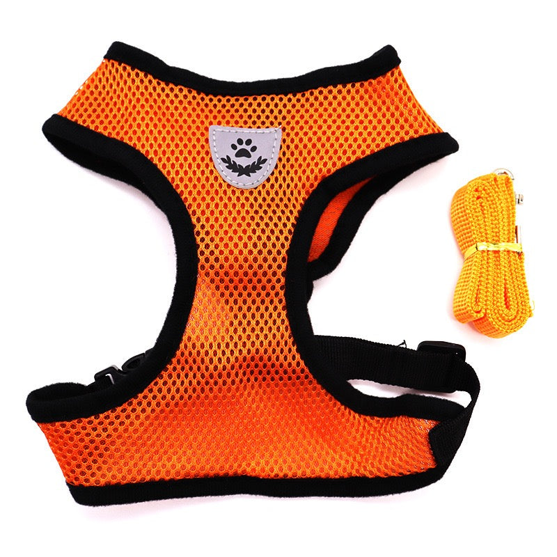 Small Dog Harness with Leash