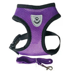 Small Dog Harness with Leash