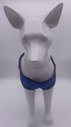 Escape-Proof Harness Leash  Breathable Pet Chest Vest