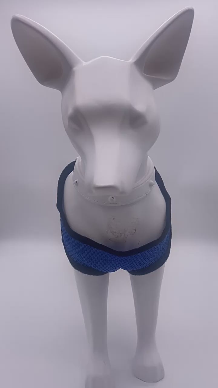 Escape-Proof Harness Leash  Breathable Pet Chest Vest