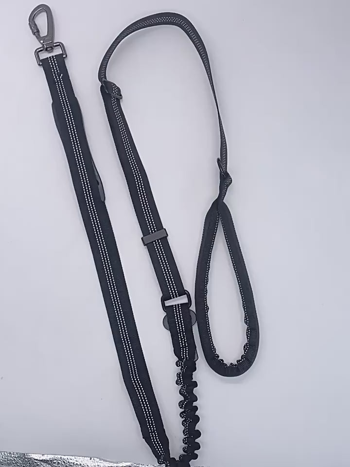 Anti-pull Dog Leash Pet Safety Belt for Outdoor Dog
